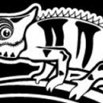 What can we learn from the Curious Chameleon?