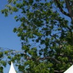 Outdoor and Indoor Requirements – License Savy